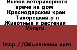 Вызов ветеринарного врача на дом. - Краснодарский край, Тихорецкий р-н Животные и растения » Услуги   
